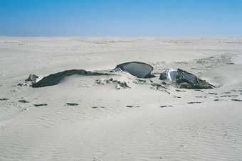 Gabriel Orozco Whale in the Sand 2006 grey whale skeleton embedded in the desert sand partially exposed