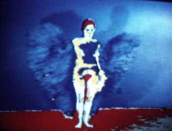 Ana Mendieta Butterfly 1975, film still. Copyright The Estate of Ana Mendieta Collection, L.L.C. Courtesy Galerie Lelong & Co. and Alison Jacques Gallery