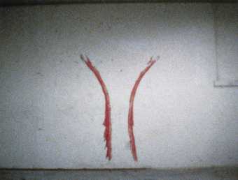 Ana Mendieta Body Tracks 1974, film still. Copyright The Estate of Ana Mendieta Collection, L.L.C. Courtesy Galerie Lelong & Co. and Alison Jacques Gallery