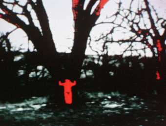 Ana Mendieta Energy Charge 1975, film still. Copyright The Estate of Ana Mendieta Collection, L.L.C. Courtesy Galerie Lelong & Co. and Alison Jacques Gallery