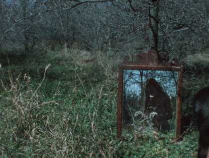 Ana Mendieta Mirage 1974, film still. Copyright The Estate of Ana Mendieta Collection, L.L.C. Courtesy Galerie Lelong & Co. and Alison Jacques Gallery