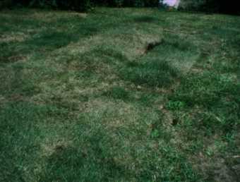 Ana Mendieta Grass Breathing c.1974, film still. Copyright The Estate of Ana Mendieta Collection, L.L.C. Courtesy Galerie Lelong & Co. and Alison Jacques Gallery