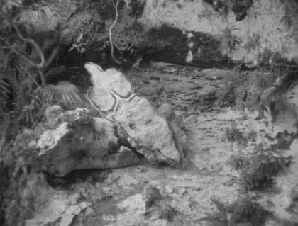 Ana Mendieta Esculturas Rupestres (Rupestrian Sculptures) 1981, film still. Copyright The Estate of Ana Mendieta Collection, L.L.C. Courtesy Galerie Lelong & Co. and Alison Jacques Gallery