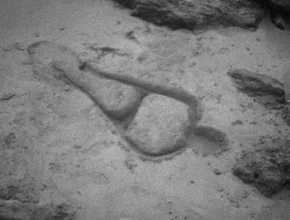  Ana Mendieta Untitled 1981, film still. Copyright The Estate of Ana Mendieta Collection, L.L.C. Courtesy Galerie Lelong & Co. and Alison Jacques Gallery