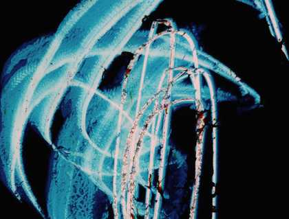 Ana Mendieta Untitled c.1971, film still. Copyright The Estate of Ana Mendieta Collection, L.L.C. Courtesy Galerie Lelong & Co. and Alison Jacques Gallery