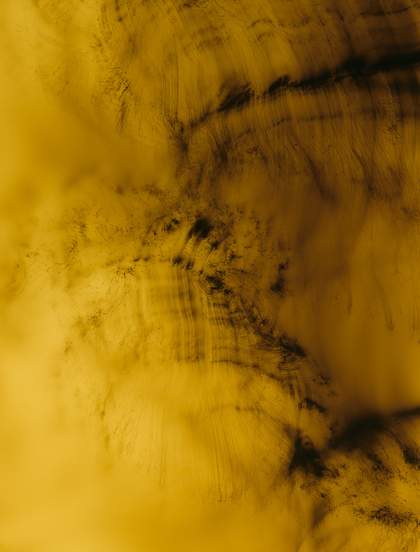 Wolfgang Tillmans Greifbar 29 2014 © Wolfgang Tillmans