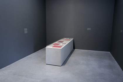 Tina Gverović and Siniša Ilić Inverted House 2013
