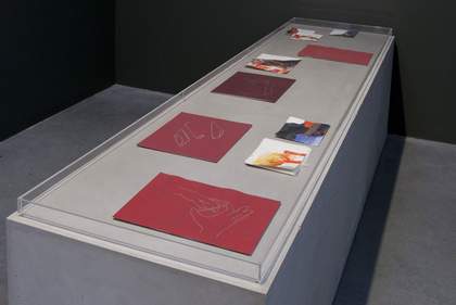 Tina Gverović and Siniša Ilić Inverted House 2013