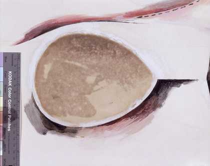 Fig.2 Richard Hamilton, Hommage à Chrysler Corp 1957