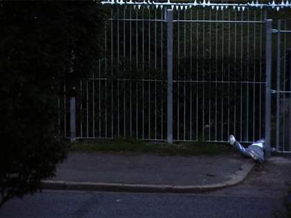 Seamus Harahan Cold Open 2012 video still