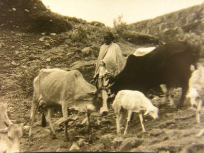 Film still from Haile Gerima Harvest: 3,000 Years, years 3