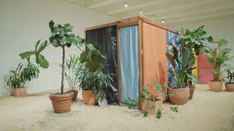 Hélio Oiticica’s, Tropicália, Penetrables PN2 ‘Purity is a Myth’ and PN3 ‘Imagetical’ 1966–7 © Hélio Oiticica