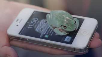 Camille Henrot Grosse Fatigue 2013, video still showing a frog on an white android phone in the palm of someone's hand
