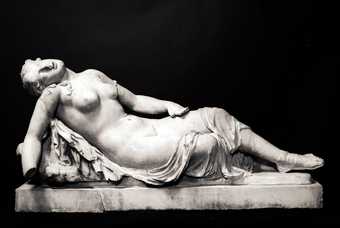 Hermaphrodite