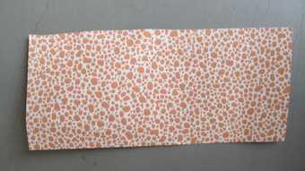 A sample of wallpaper from Belshazzar's Feast, white with orange irregular spots