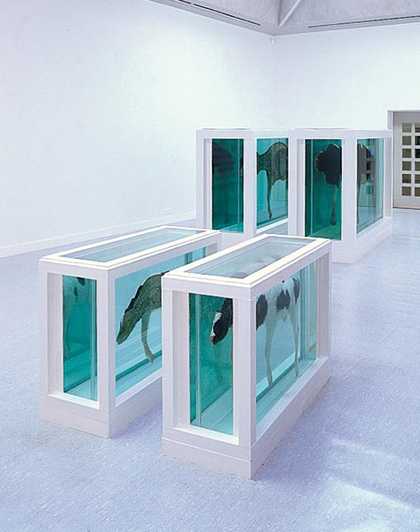 Damien Hirst Mother & Child, Divided, 1993