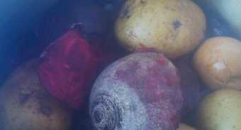 Film still of some turnips and potatoes in water