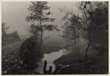 Don McCullin, Woods Near My House, c.1991 Tate Purchased 2012 © Don McCullin