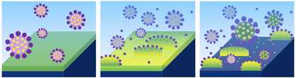 Illustration of a microemulsion under magnification