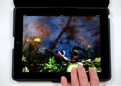 Helen Douglas The Pond at Deuchar 2013