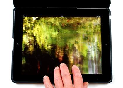 Helen Douglas The Pond at Deuchar 2013