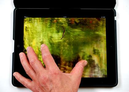 Helen Douglas The Pond at Deuchar 2013