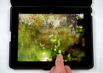 Helen Douglas The Pond at Deuchar 2013