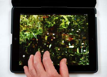 Helen Douglas The Pond at Deuchar 2013