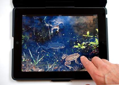 Helen Douglas 'The Pond at Deuchar' 2013