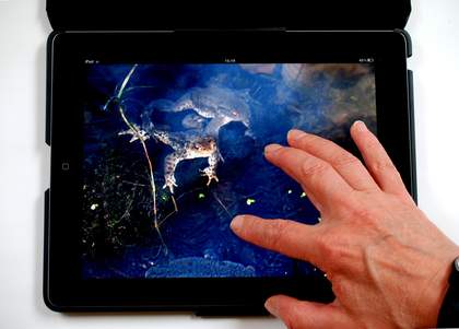 Helen Douglas The Pond at Deuchar 2013