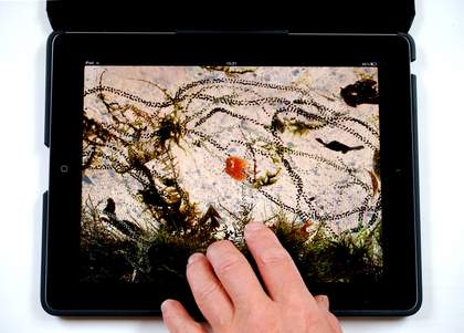 Helen Douglas The Pond at Deuchar 2013