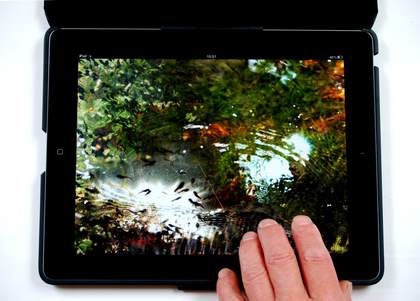 Helen Douglas The Pond at Deuchar 2013