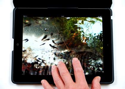 Helen Douglas The Pond at Deuchar 2013