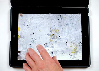 Helen Douglas The Pond at Deuchar 2013