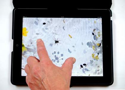 Helen Douglas The Pond at Deuchar 2013