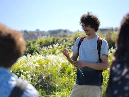 Wild St Ives Foraging from Tate St Ives