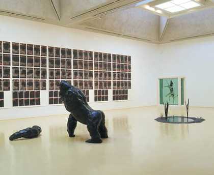 In-A-Gadda-Da-Vida Installation