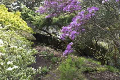In the garden at Eagles Nest, May 2017 - (c) Susanna Heron. All rights reserved, DACS 2018