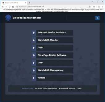 Broken links. The domain name which once hosted Shilpa Gupta’s Blessed Bandwidth 2003 now shows a ‘temporary Parking Page’, http://www.blessed-bandwidth.net, accessed 1 August 2019.