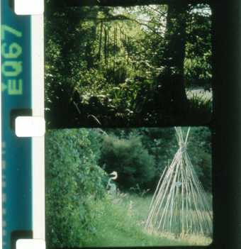 Rose Lowder, Jardins du Marais 2010 Film still