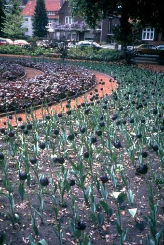 Jenny Holzer Black Garden 1994