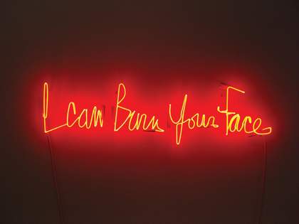 Jill Magid I Can Burn Your Face 2008, installation view