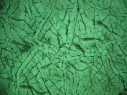 Johan Zoffany's Charles Macklin as Shylock, detail of paintwork for Tate conservation project