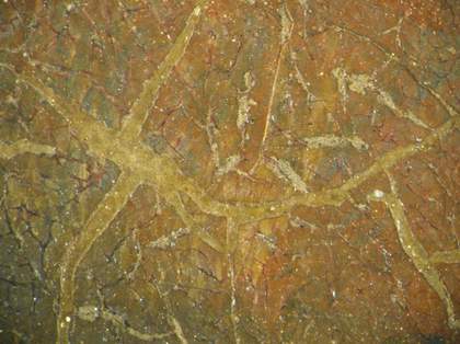 Johan Zoffany's Charles Macklin as Shylock, detail of paintwork for Tate conservation project