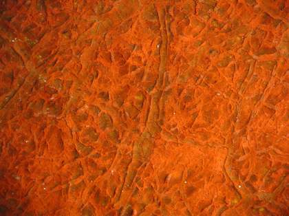 Johan Zoffany's Charles Macklin as Shylock, detail of paintwork for Tate conservation project