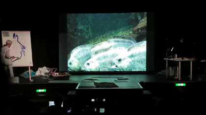 Joan Jonas Video still from Reanimation, ﻿2012