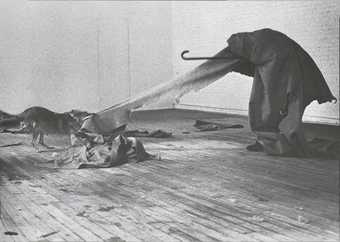 Joseph Beuys, Coyote, 1974, photograph by Caroline Tisdall