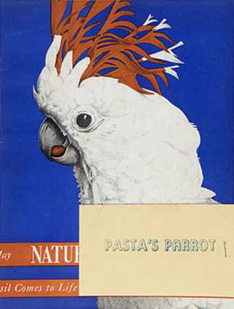 'Pasta's Parrot' included in Joseph Cornell's Giuditta Pasta Dossier, 1940s–1960