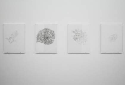 Kathy Prendergast © Tate Photography