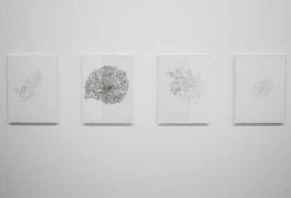 Kathy Prendergast © Tate Photography